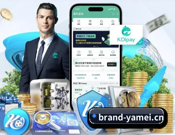 全球情报网全开